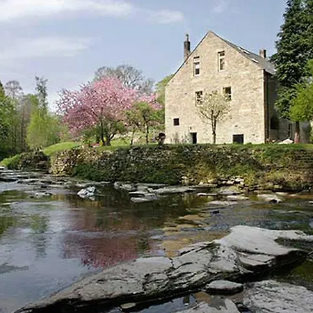 Dilston Mill-3